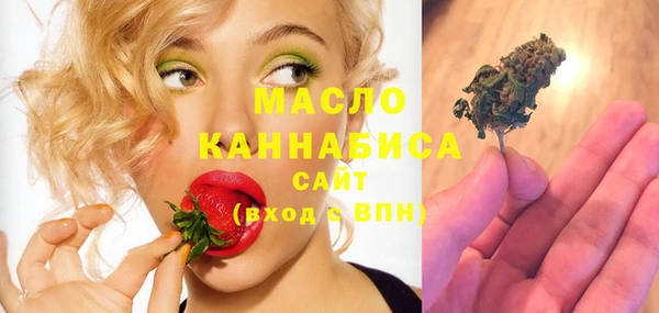 гидра Богданович