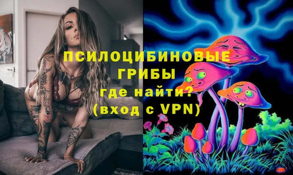 метадон Богородицк