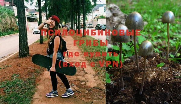 ALPHA PVP Богородск