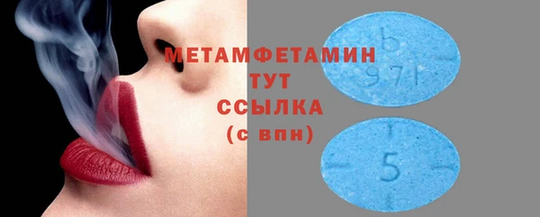 гидра Богданович