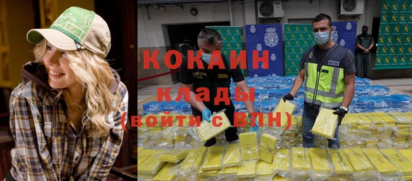 гидра Богданович