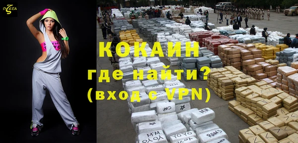 гидра Богданович