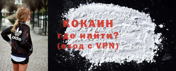 гидра Богданович