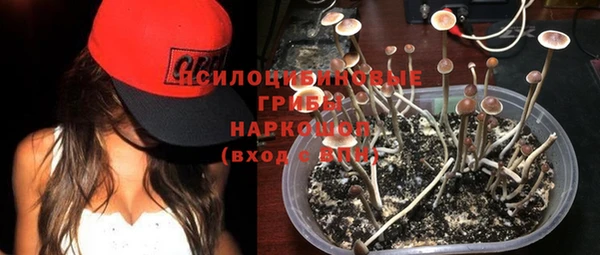 гидра Богданович