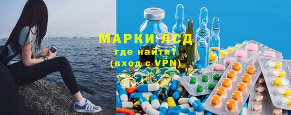 гидра Богданович