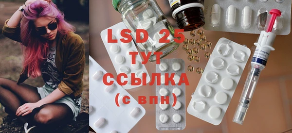 гидра Богданович