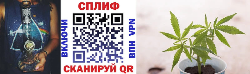 Шишки марихуана ГИДРОПОН  купить  сайты  Кинель 